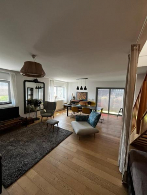 Superb 100m with Rooftop Terrace Near Paris